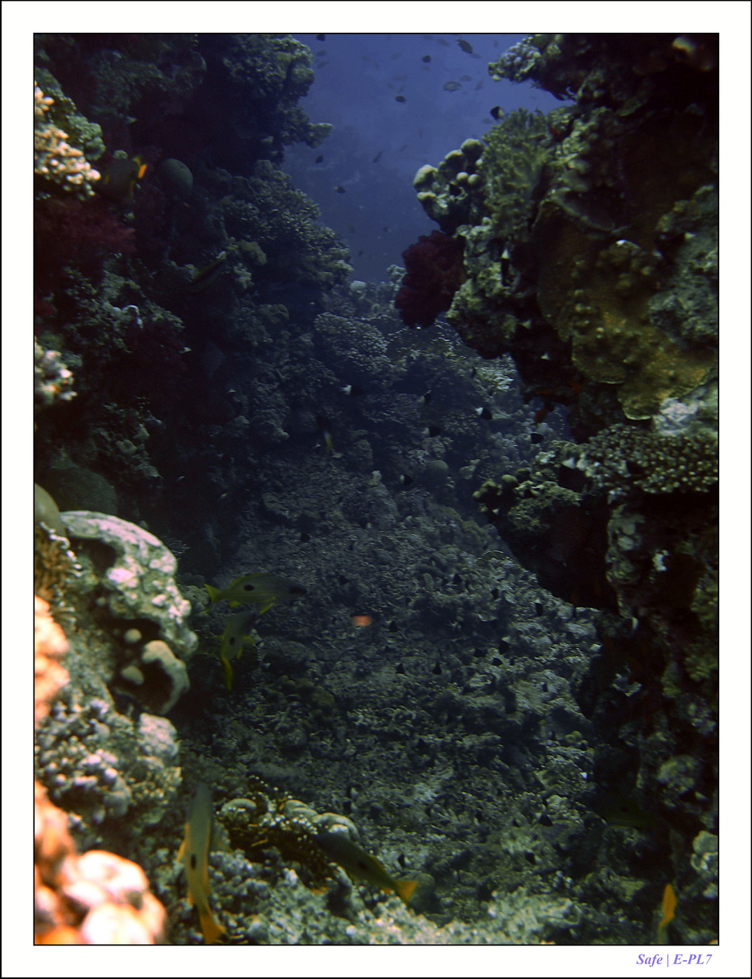 2023 - 03 - Charm El Sheikh - 20